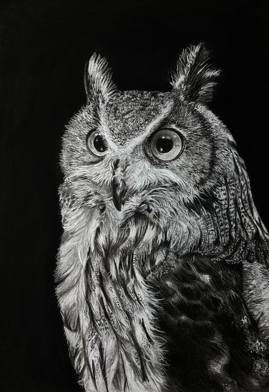Eule - Weisheit & nächtliche Klarheit