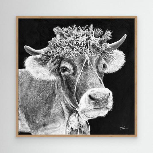 Montafoner Grauvieh – Symbol von Heimat und Tradition