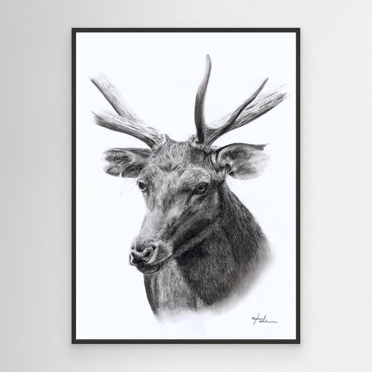 Hitsch - Würde & sanfte Stärke