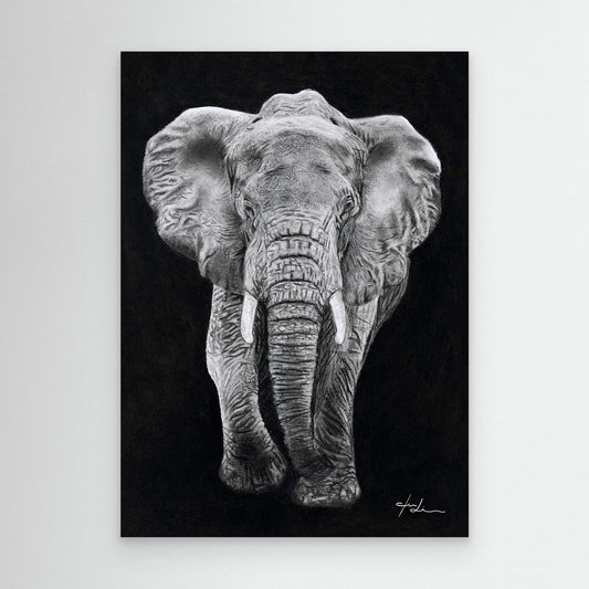 Elefant - Erinnerung & Erdung
