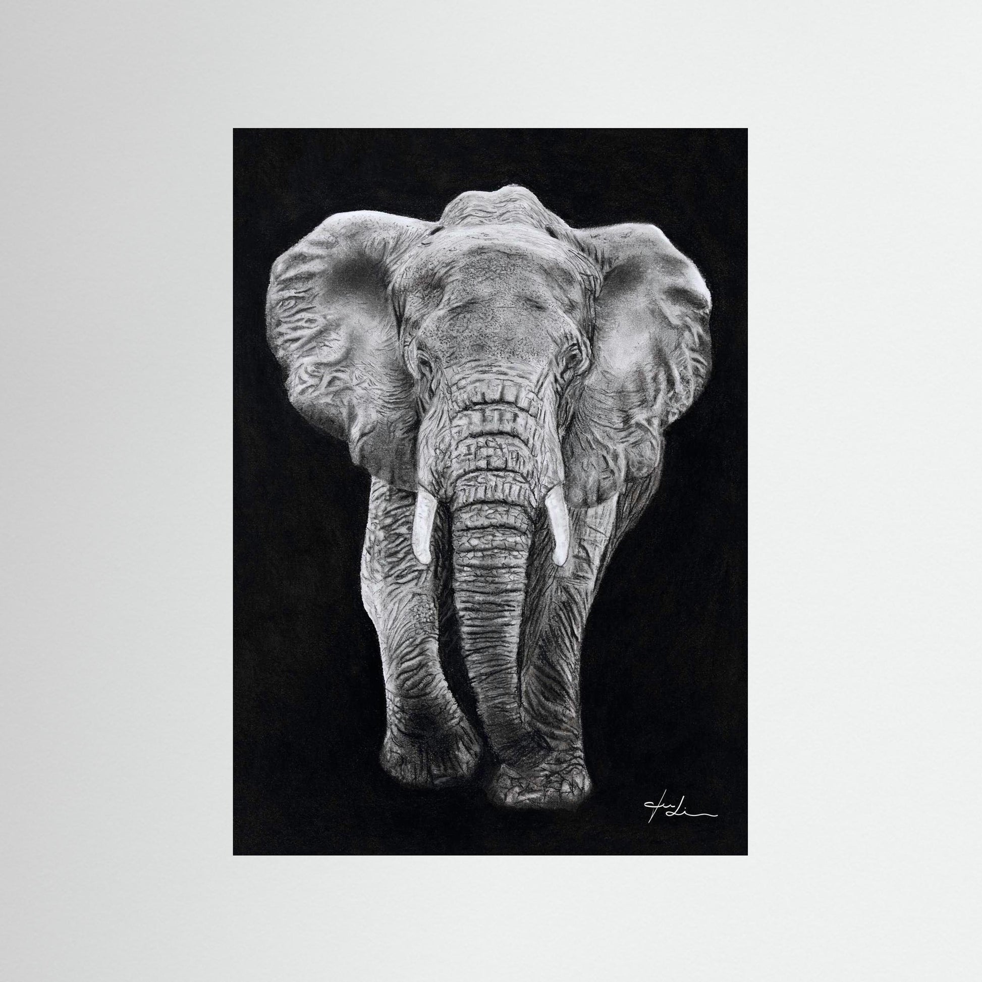 Elefant - Erinnerung & Erdung