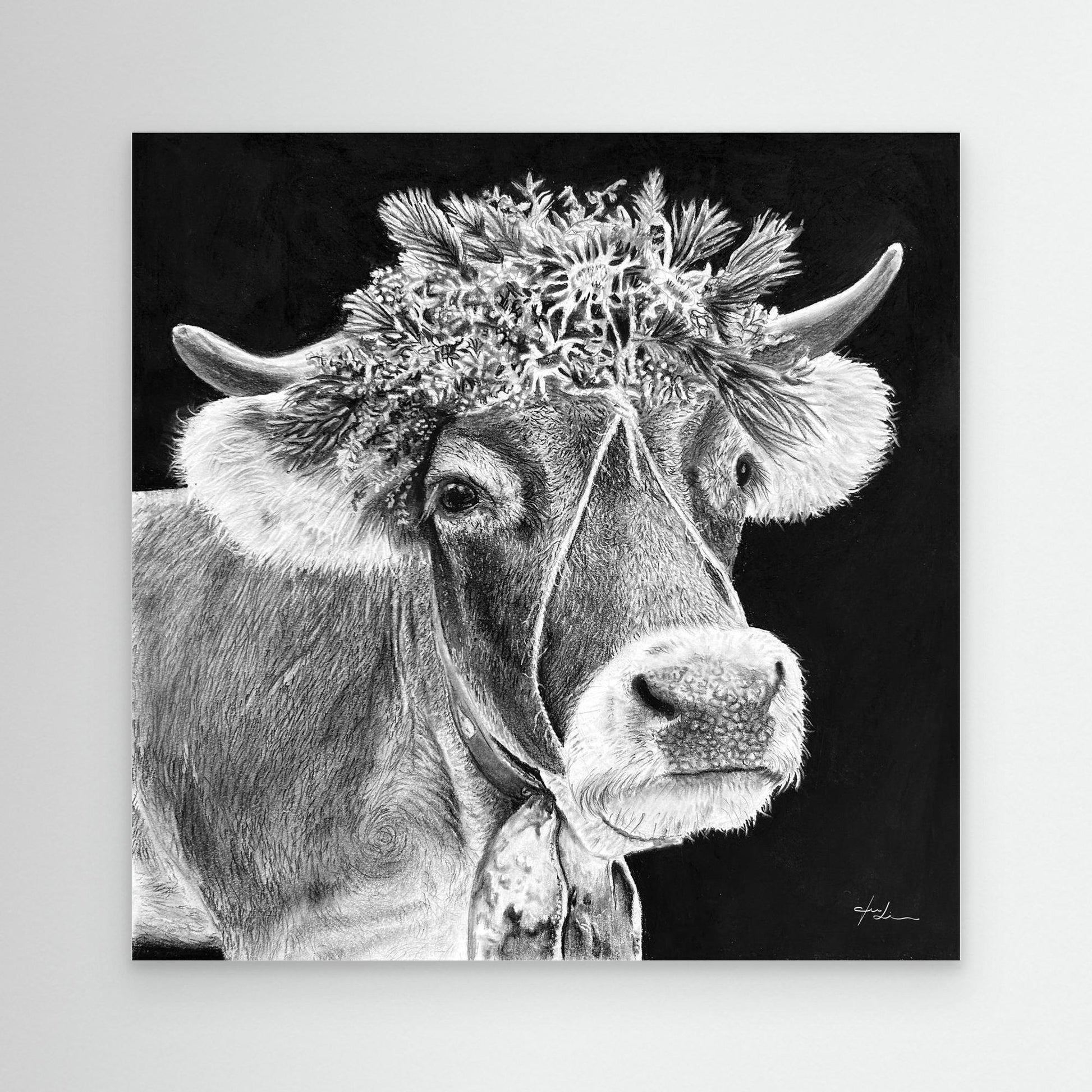 Montafoner Grauvieh – Symbol von Heimat und Tradition