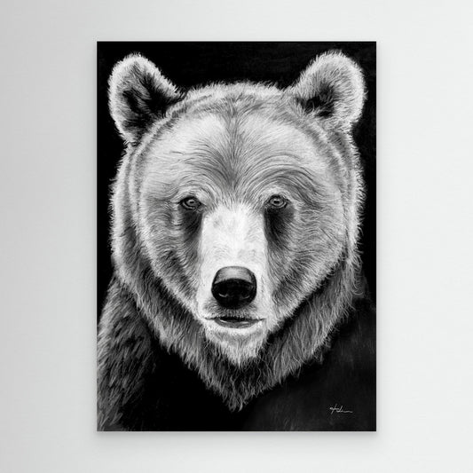 Der Bär – Wächter der inneren Stärke